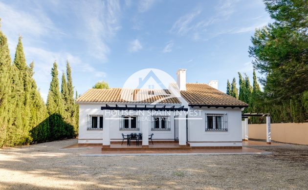 Chalet - Obra nueva - Fuente Alamo - Fuente Alamo