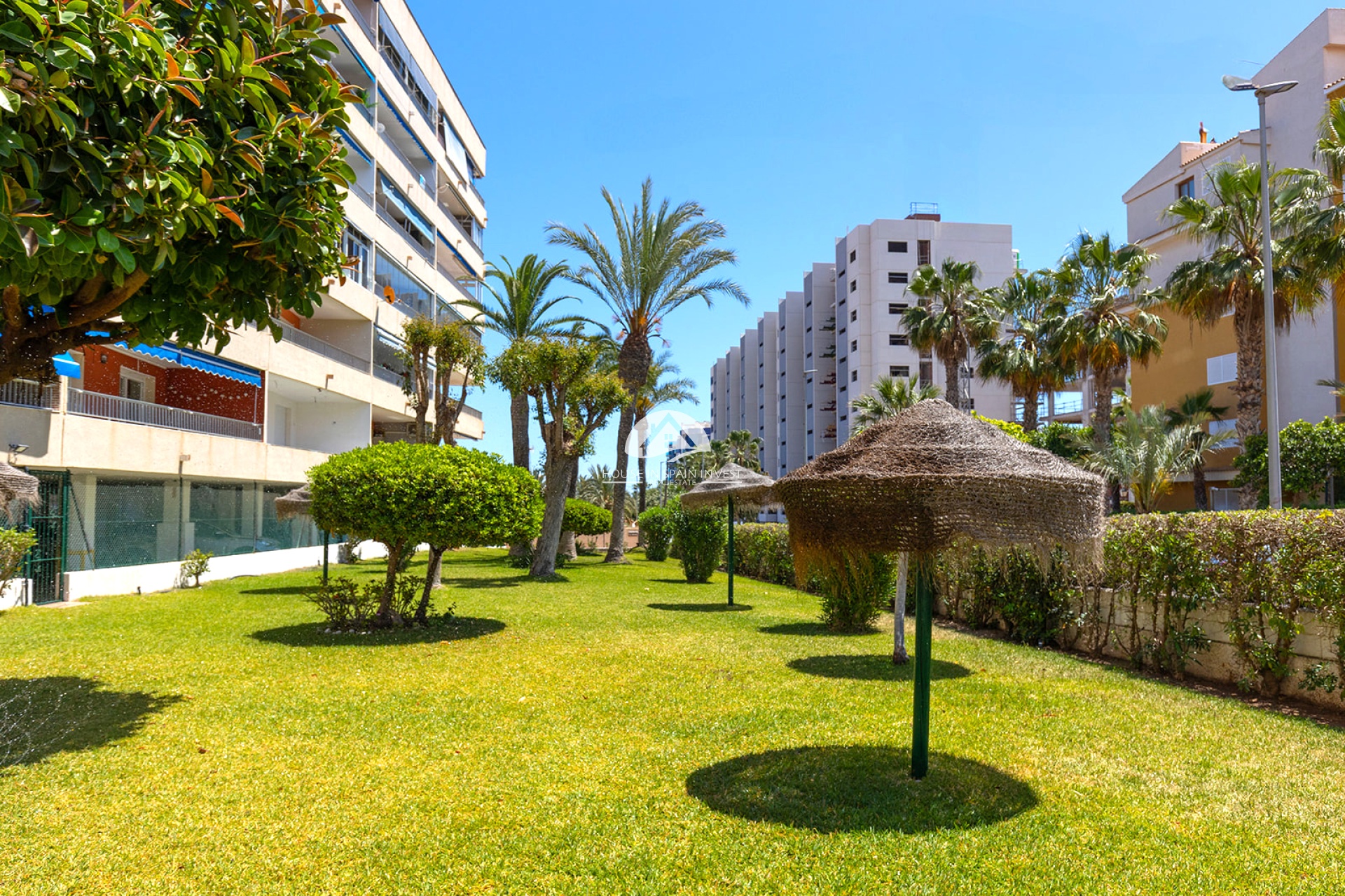Herverkoop - Appartement - Torrevieja - Punta Prima
