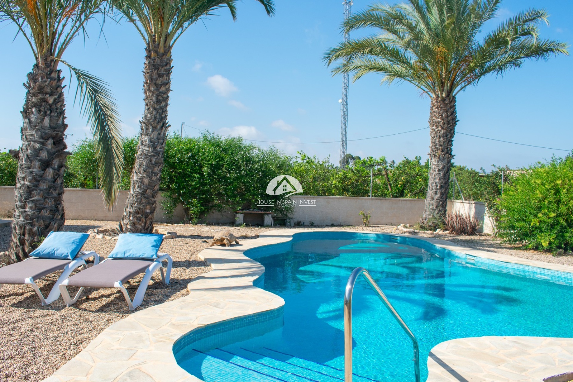 Herverkoop - Villa - Guardamar del Segura - Guardamar - El Raso