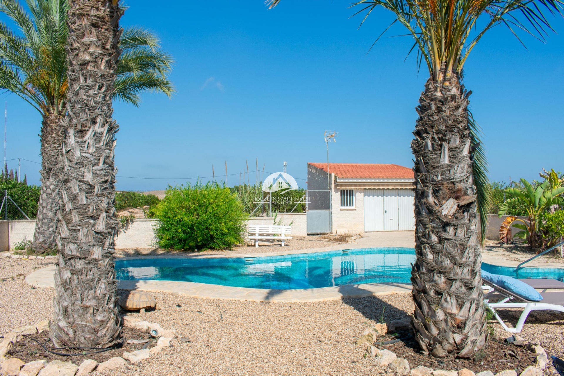 Herverkoop - Villa - Guardamar del Segura - Guardamar - El Raso