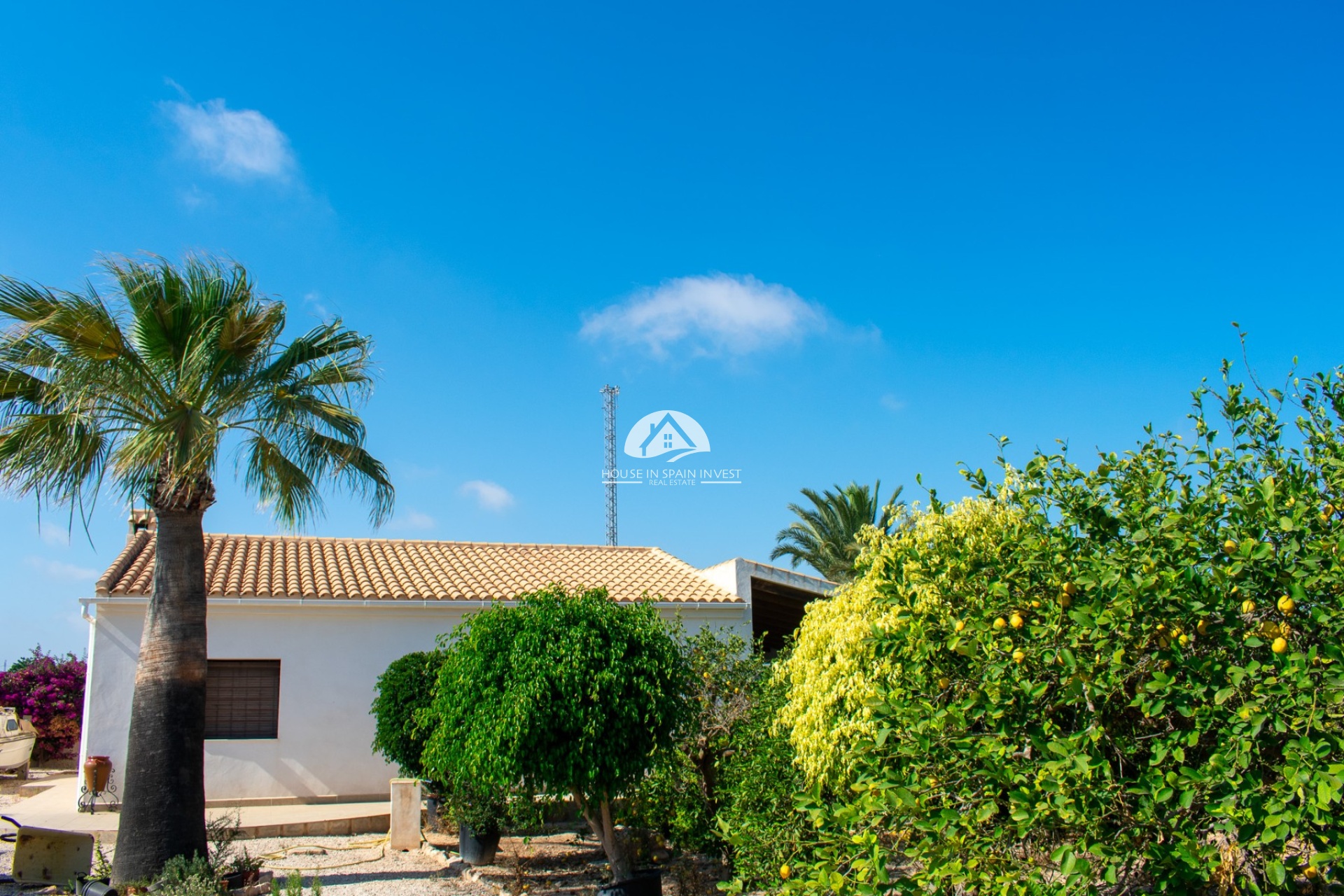 Herverkoop - Villa - Guardamar del Segura - Guardamar - El Raso