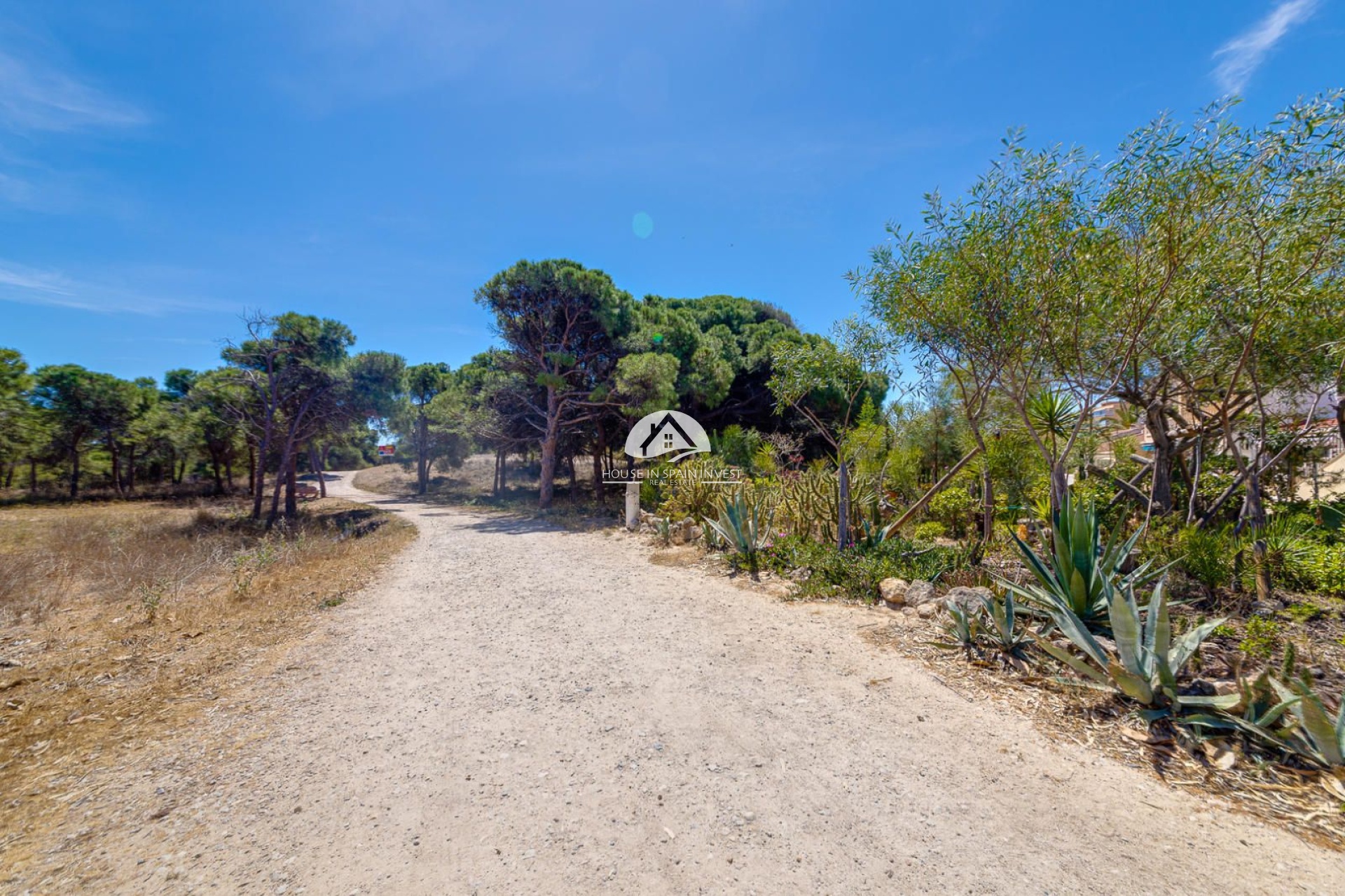 Resale - Apartment  - Guardamar del Segura - Guardamar - El Raso