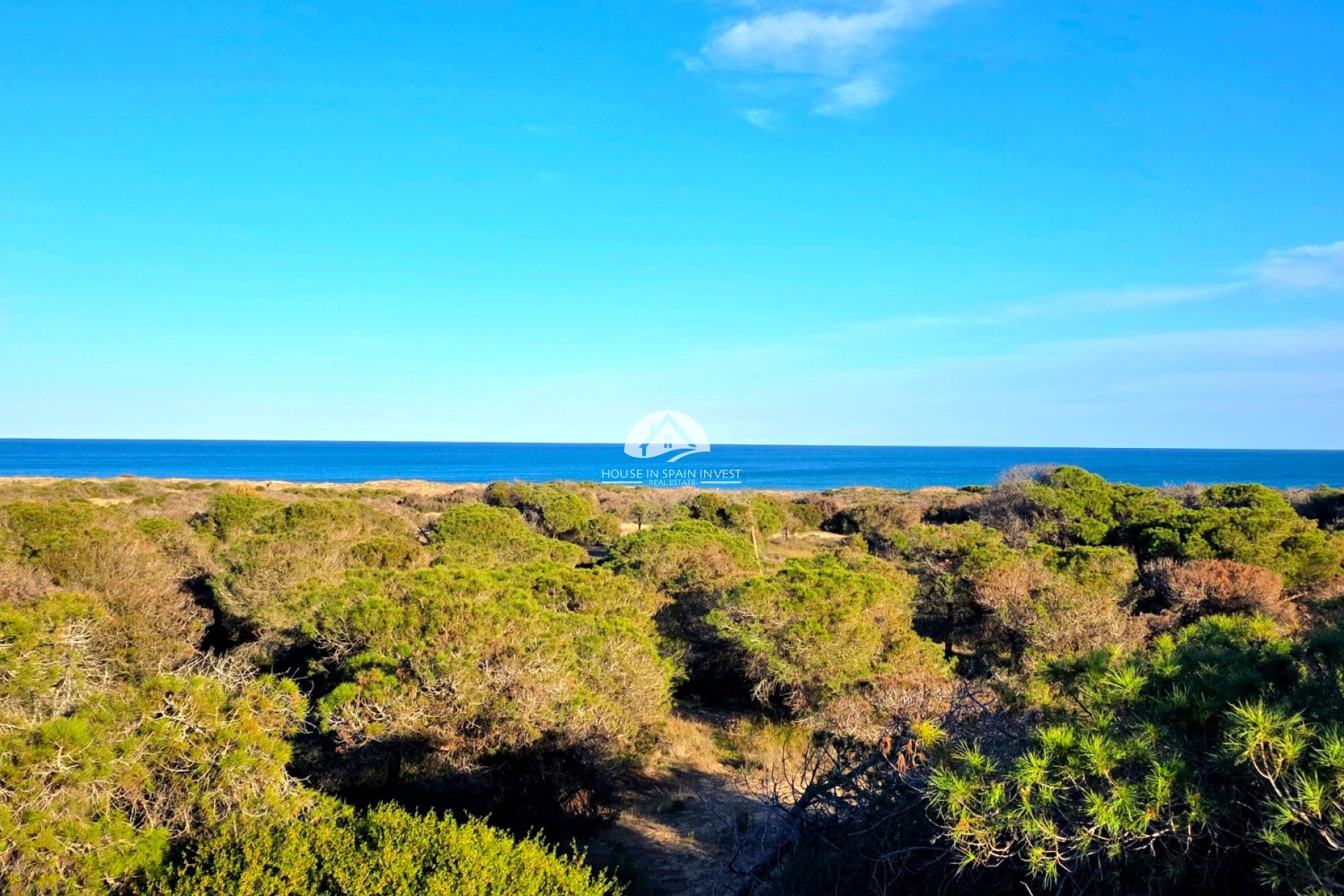 Resale - Apartment  - Guardamar del Segura - Pinomar