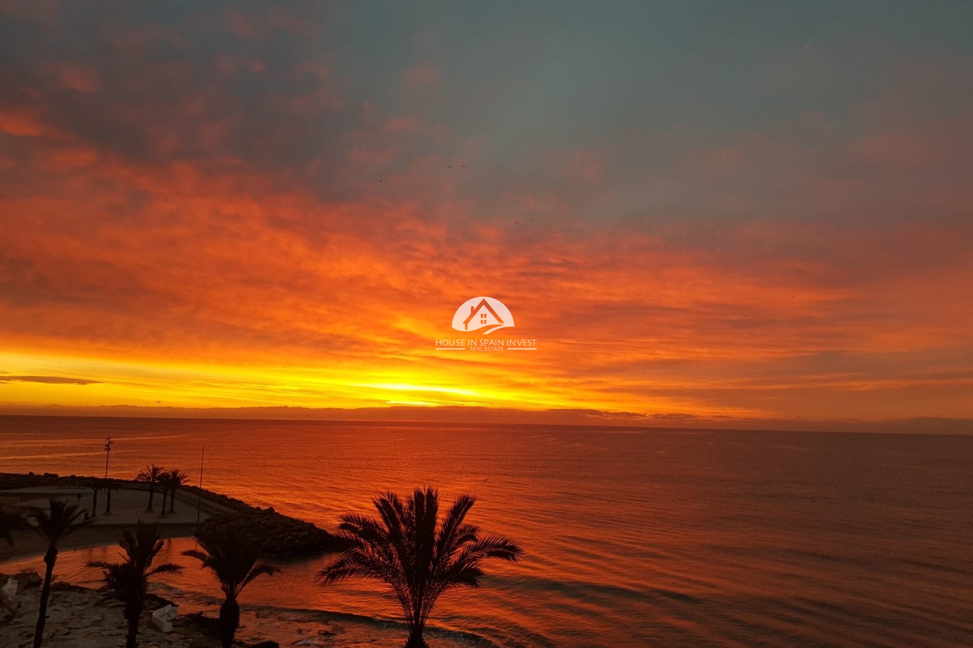 Resale - Apartment  - Torrevieja - Playa del Cura