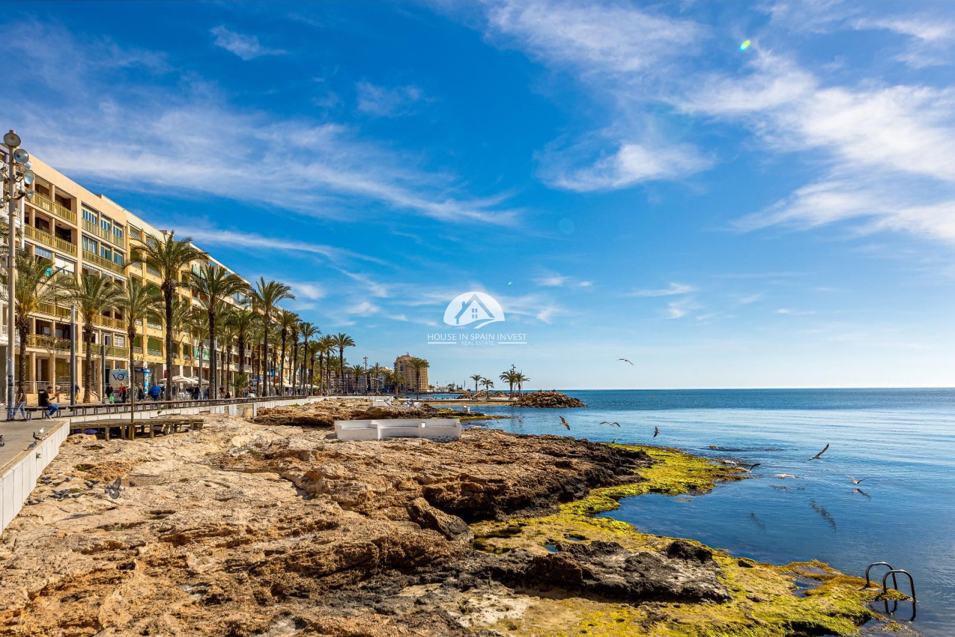 Resale - Penthouse - Torrevieja - Playa del Cura