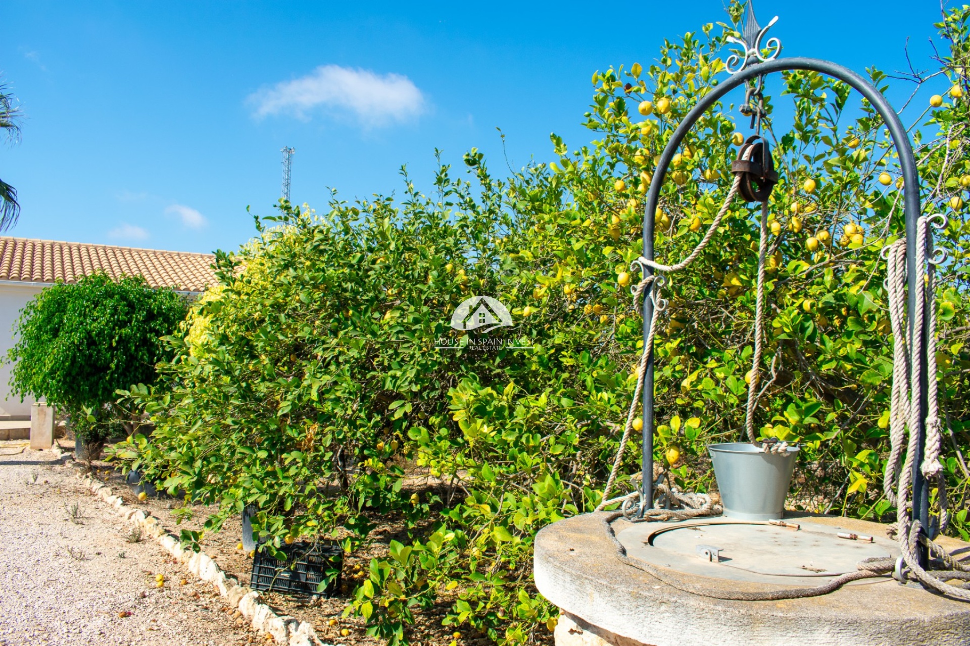 Resale - Villa - Guardamar del Segura - Guardamar - El Raso