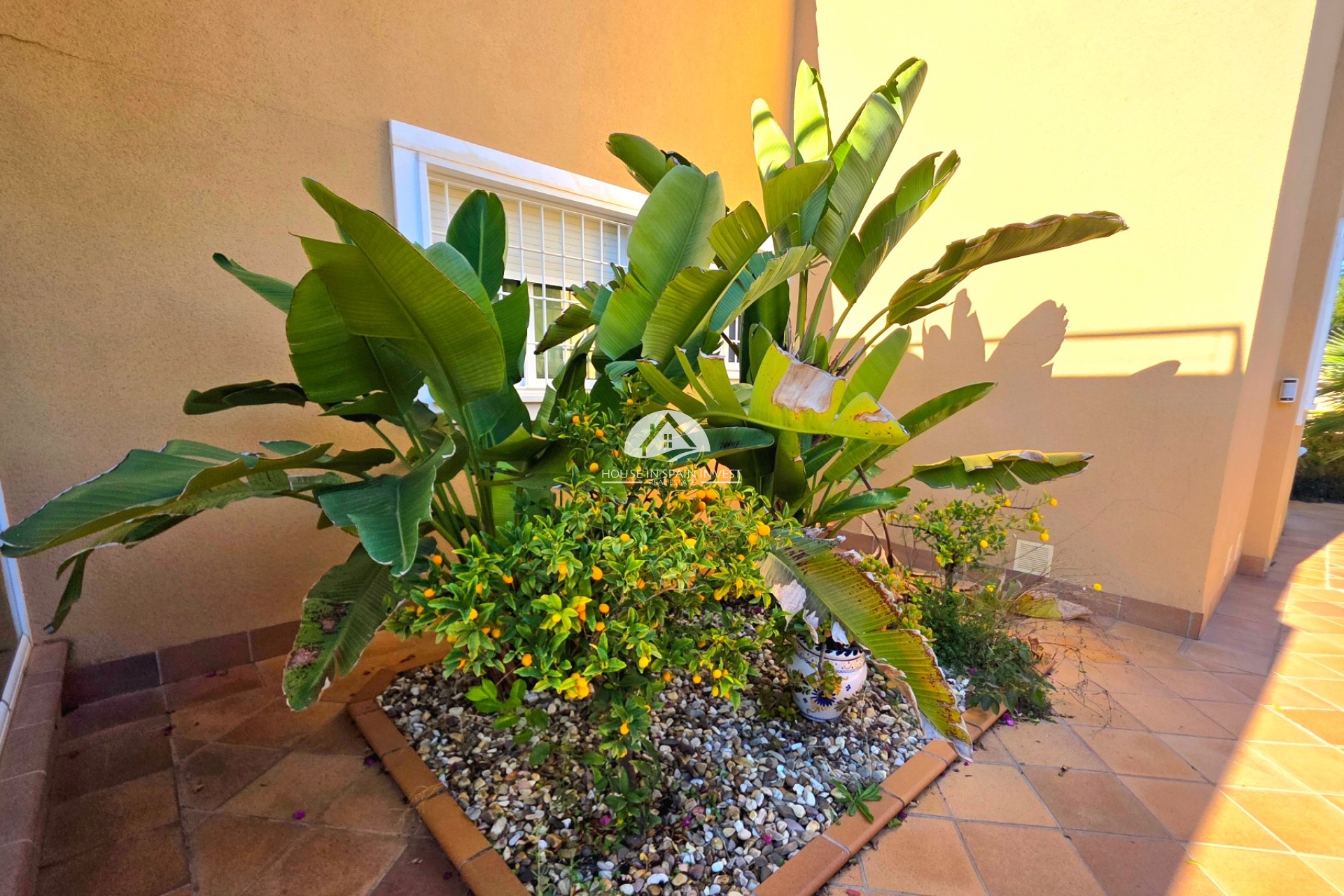 Resale - Villa - Torrevieja - Cabo Cervera