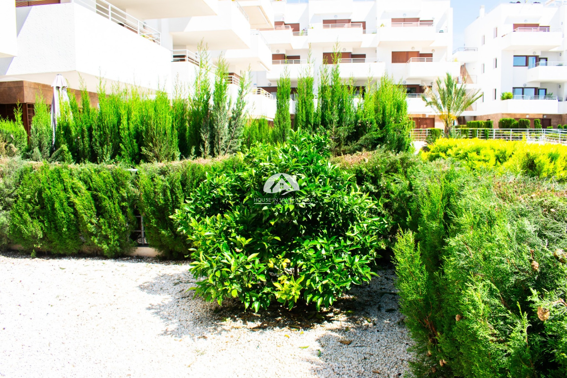 Reventa - Apartamento - Orihuela Costa - Lomas De Cabo Roig