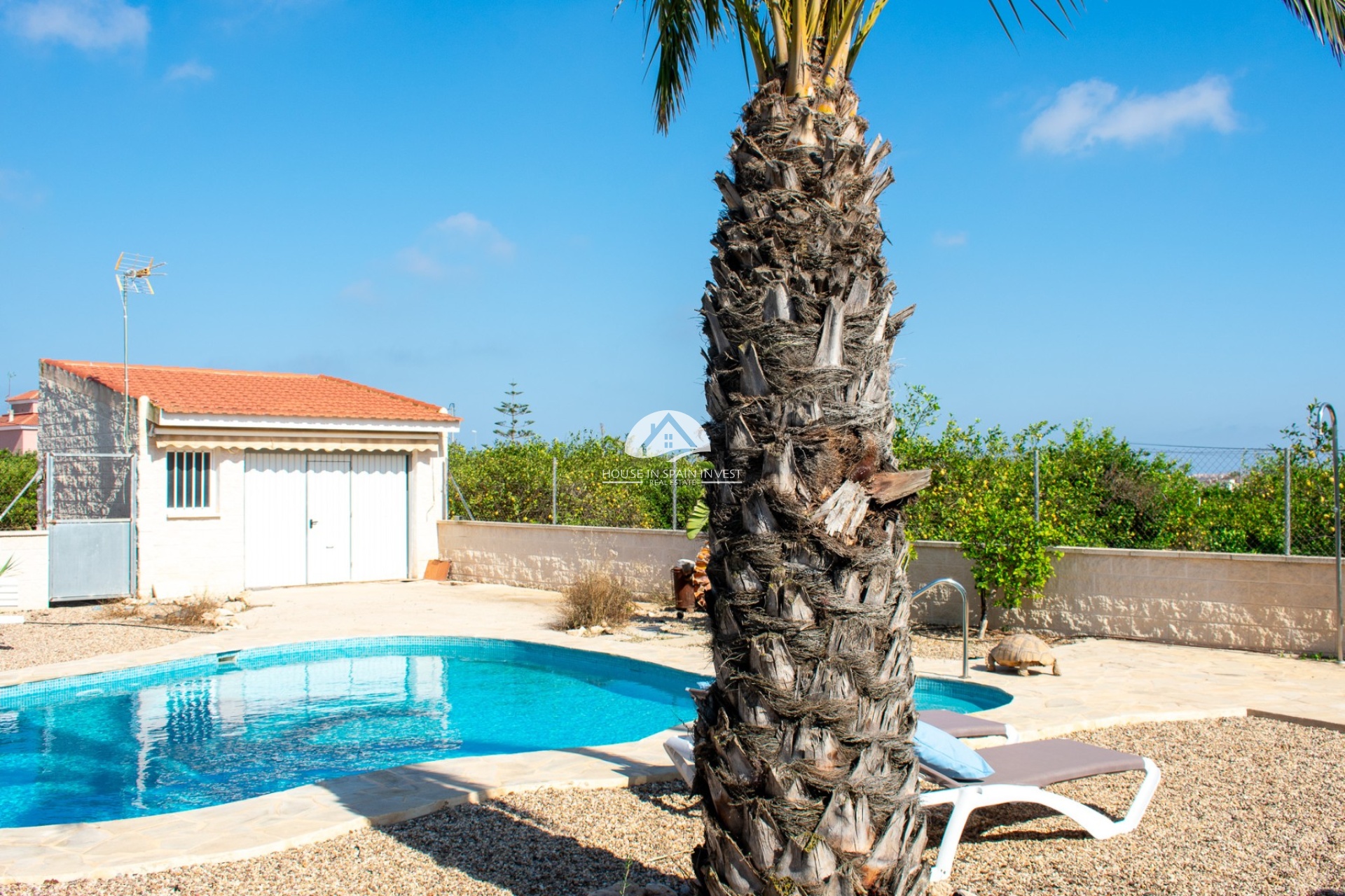 Reventa - Chalet - Guardamar del Segura - Guardamar - El Raso