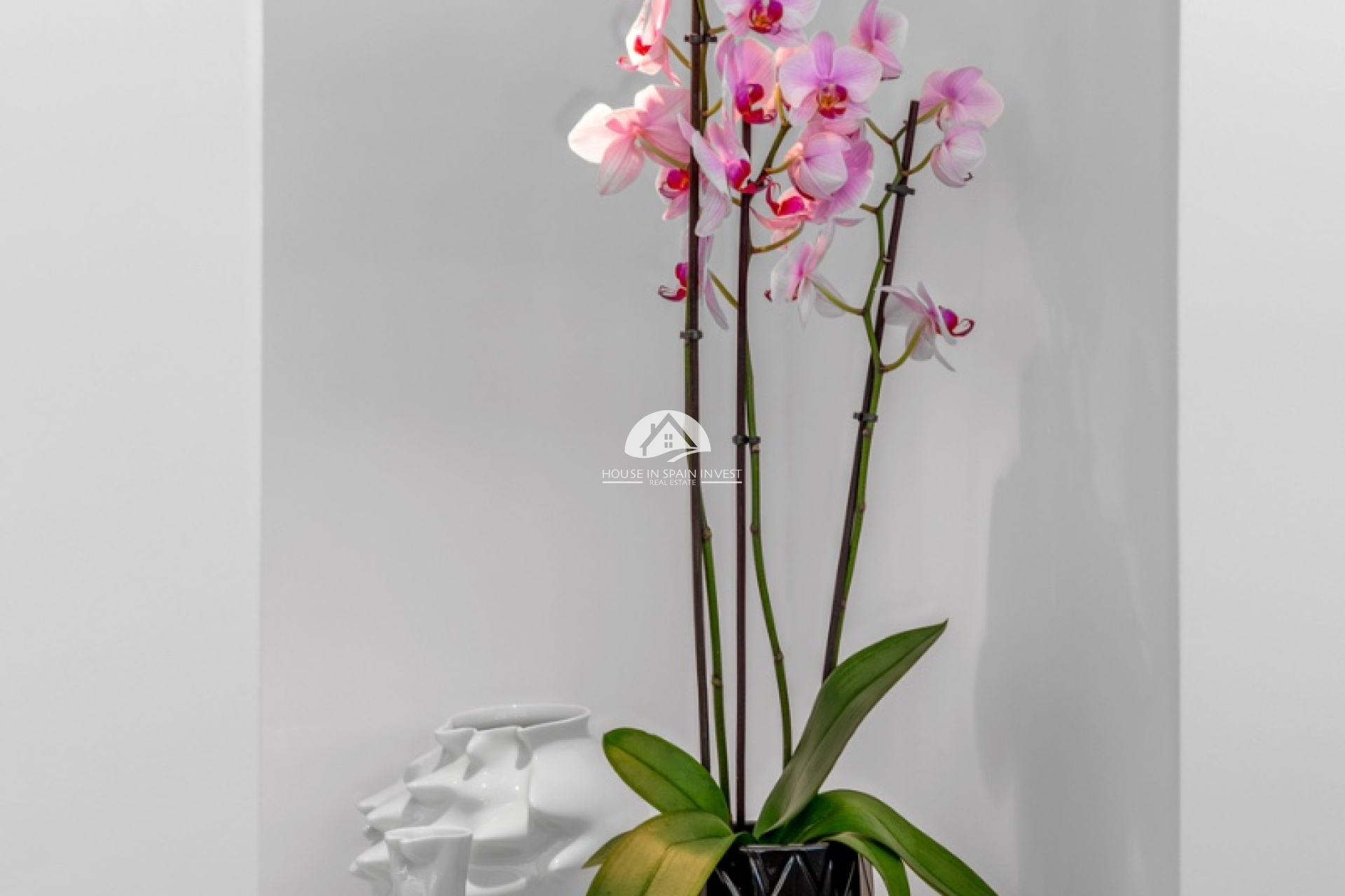 Reventa - Chalet - Guardamar del Segura - Guardamar - El Raso