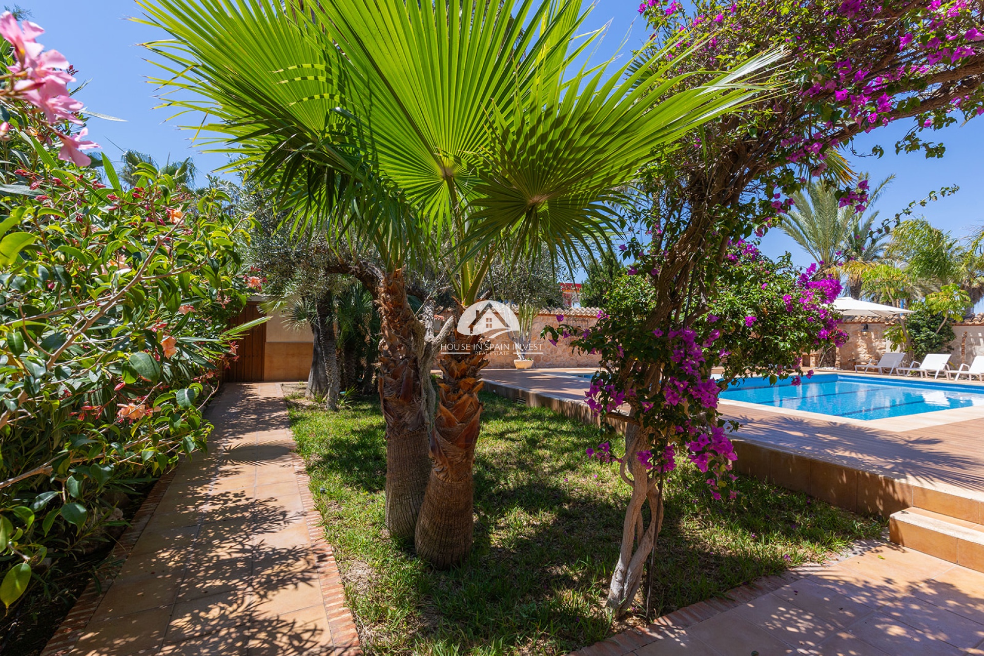 Reventa - Chalet - Orihuela Costa - Punta Prima 