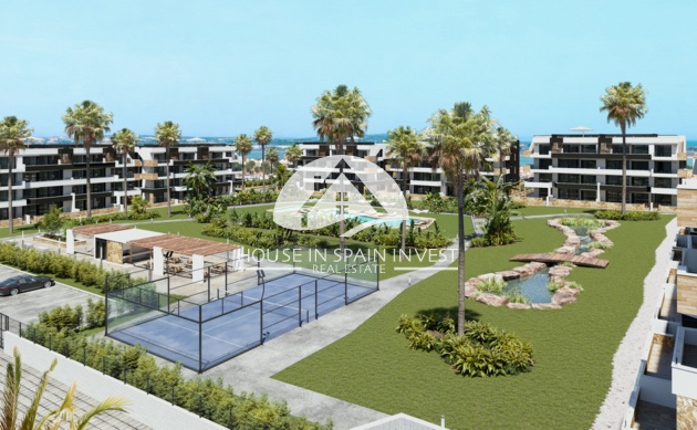 Obra nueva - Ático - Torrevieja