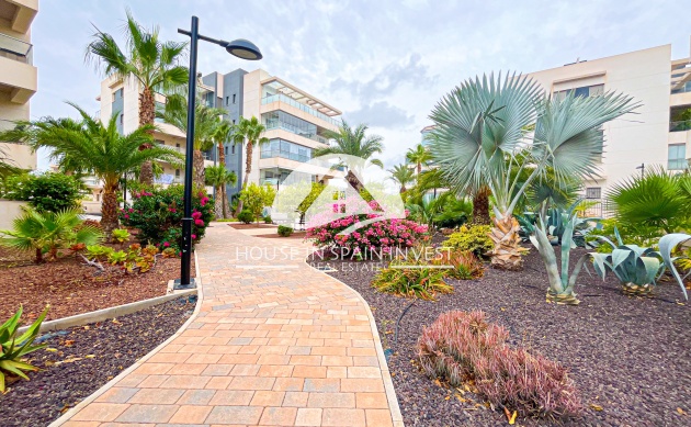 Herverkoop - Appartement - Orihuela Costa - Villamartín