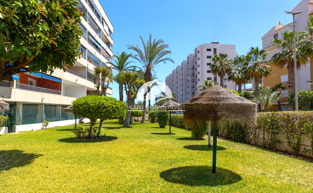Reventa - Apartamento - Torrevieja - Punta Prima 
