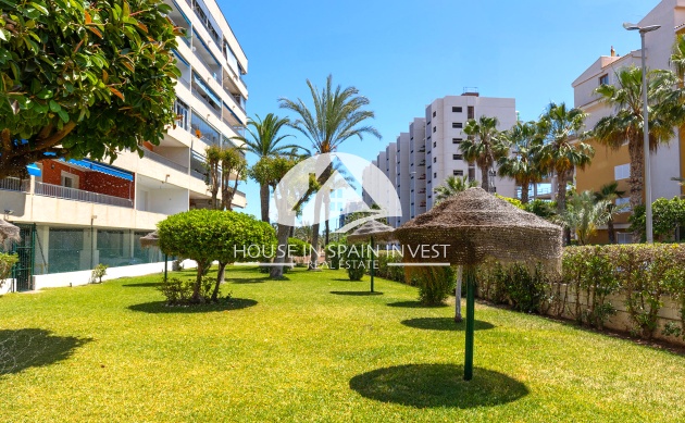 Reventa - Apartamento - Torrevieja - Punta Prima 