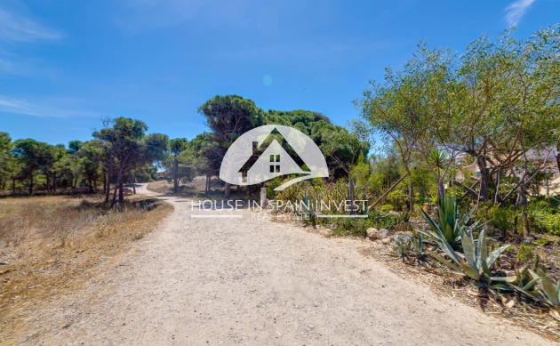 Herverkoop - Appartement - Guardamar del Segura - Guardamar - El Raso