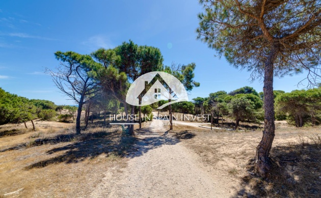 Herverkoop - Appartement - Guardamar del Segura - Guardamar - El Raso