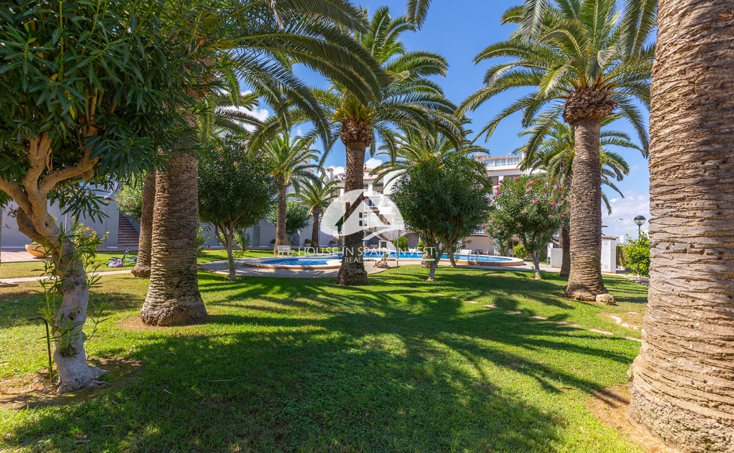 Reventa - Apartamento - Torrevieja - La Mata