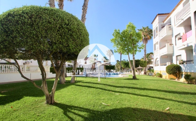 Herverkoop - Appartement - Orihuela Costa - Villamartín