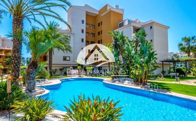 Reventa - Apartamento - Torrevieja - Punta Prima 