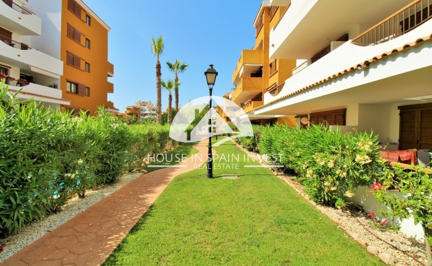 Reventa - Apartamento - Torrevieja - Punta Prima 