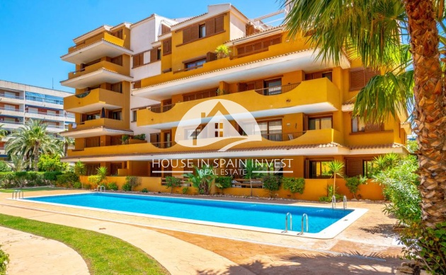 Reventa - Apartamento - Torrevieja - Punta Prima 
