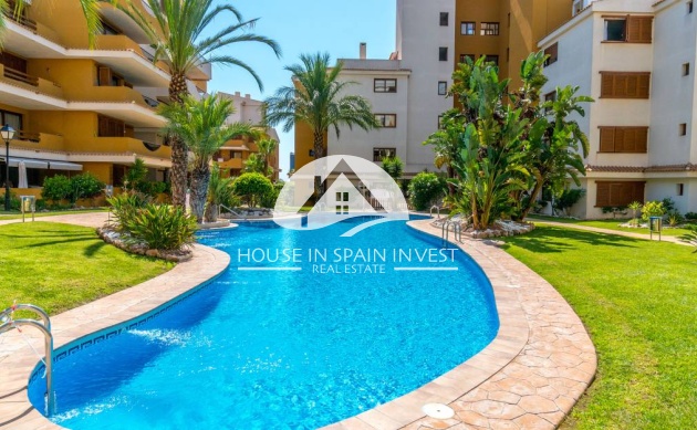 Reventa - Apartamento - Torrevieja - Punta Prima 