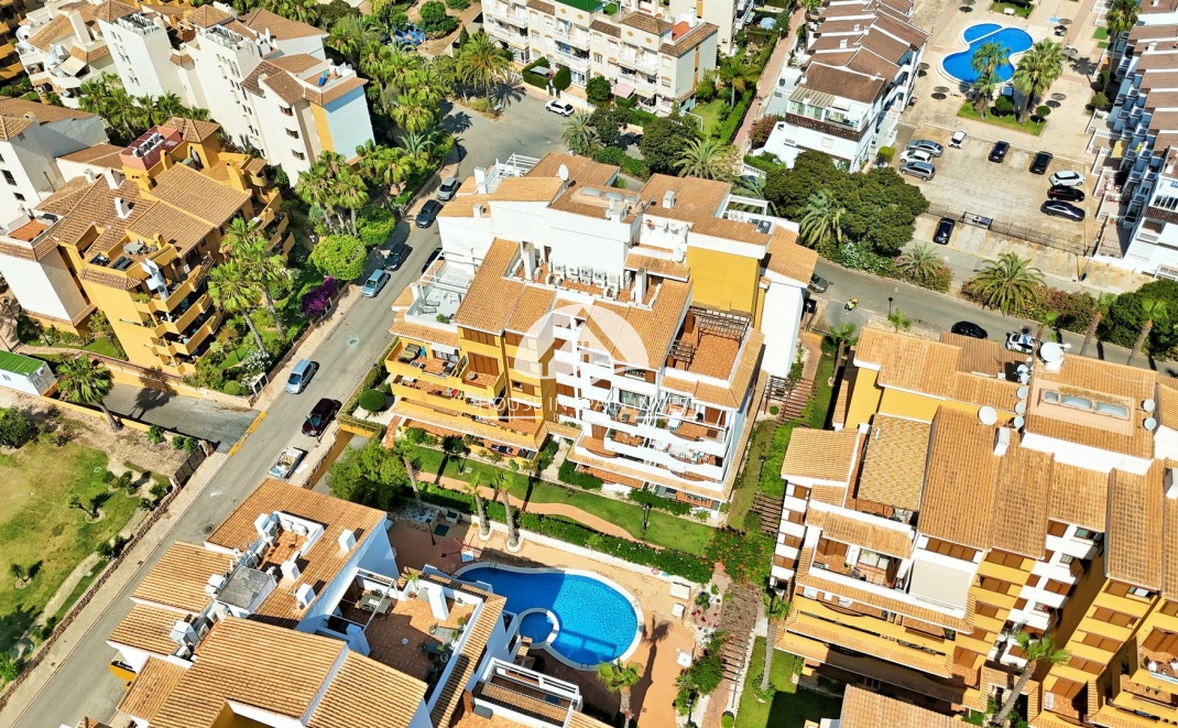 Reventa - Apartamento - Torrevieja - Punta Prima 