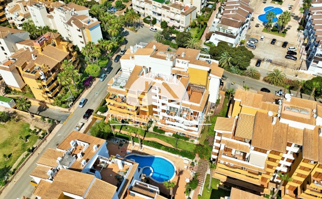 Reventa - Apartamento - Torrevieja - Punta Prima 