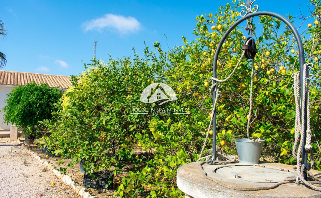 Herverkoop - Villa - Guardamar del Segura - Guardamar - El Raso