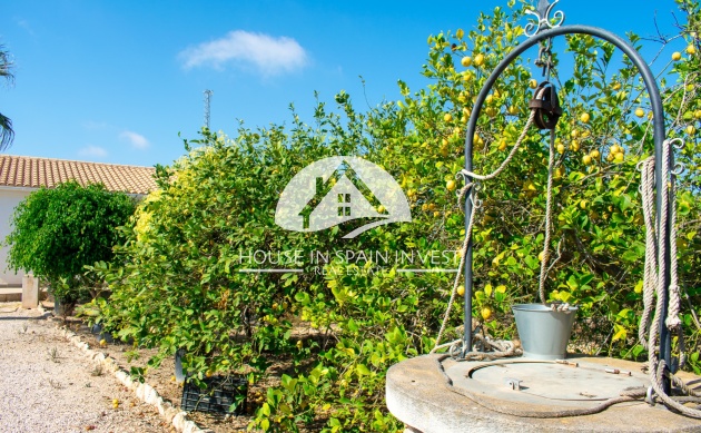 Herverkoop - Villa - Guardamar del Segura - Guardamar - El Raso