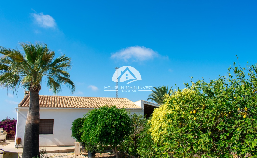 Herverkoop - Villa - Guardamar del Segura - Guardamar - El Raso