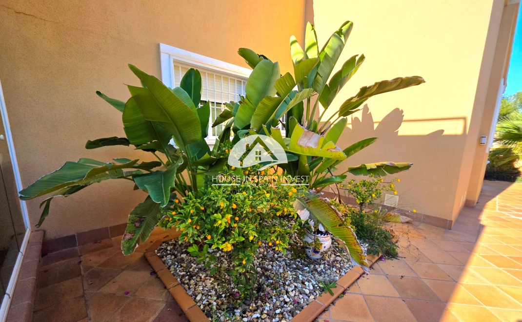 Herverkoop - Villa - Torrevieja - Cabo Cervera