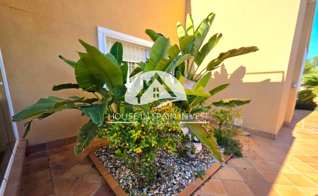 Herverkoop - Villa - Torrevieja - Cabo Cervera