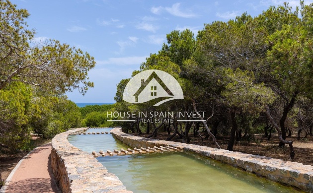 Herverkoop - Gelijkvloerse bungalow - Torrevieja - La Mata