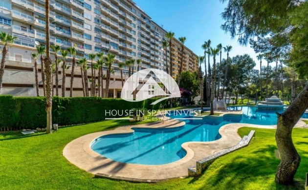 Reventa - Apartamento - Orihuela Costa - Dehesa de campoamor