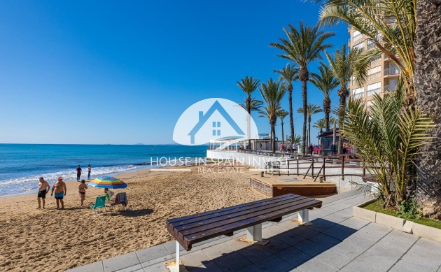 Reventa - Studio - Torrevieja - Playa del Cura