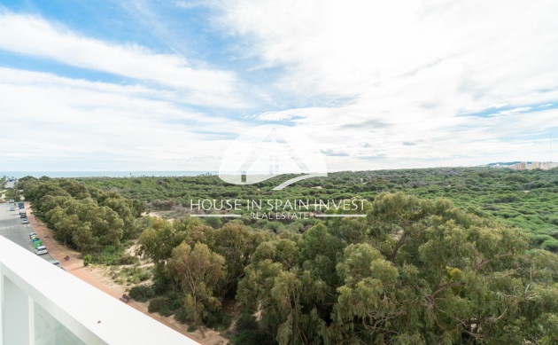 Reventa - Apartamento - Guardamar del Segura - Puerto Deportivo