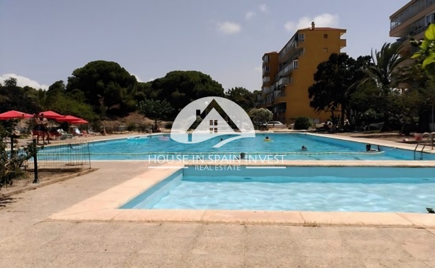Reventa - Apartamento - Guardamar del Segura - Pinomar