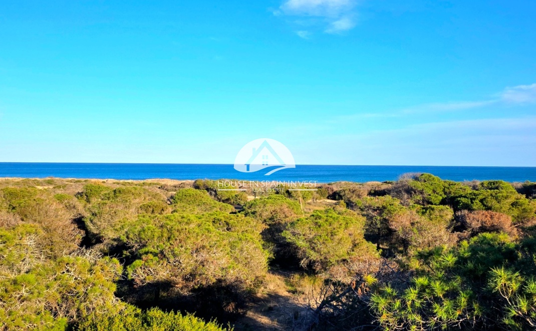 Reventa - Apartamento - Guardamar del Segura - Pinomar