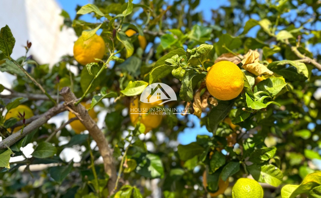 Herverkoop - Villa - Orihuela Costa - Villamartín