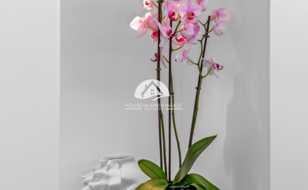 Herverkoop - Villa - Guardamar del Segura - Guardamar - El Raso