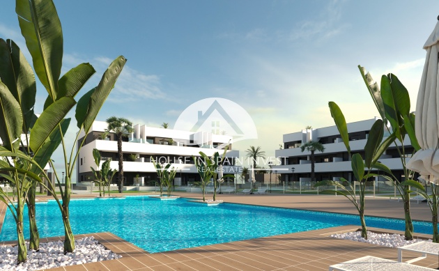 Nieuwbouw   - Penthouse - Guardamar del Segura - Guardamar - El Raso